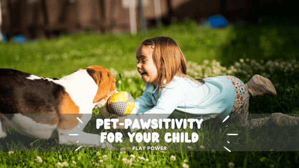 How to introduce Pets for your child?
